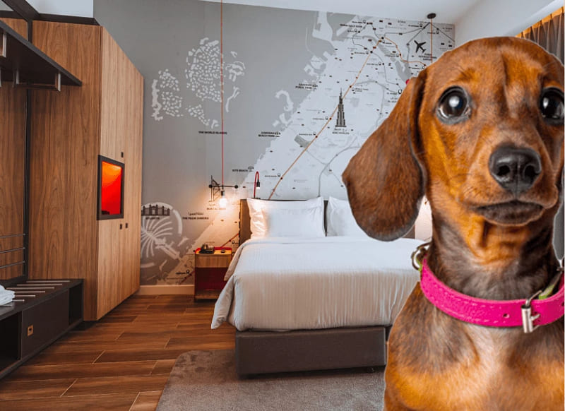 هتل های دبی برای حیوانات خانگی: هتل اینک